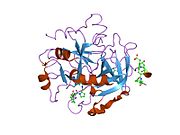 1nzq: D-Phe-Pro-Arg-Type Thrombin Inhibitor