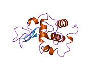 PDB 1oub EBI.jpg