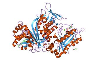 <span class="mw-page-title-main">Guanosine nucleotide dissociation inhibitor</span>