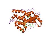 PDB 2evd EBI.jpg