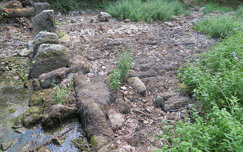 File:PRADES LE LEZ - Restinclières gué submersible du Lirou - passes et pavages 2018 08 20 a 01.jpg