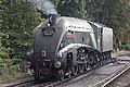 Paignton - 60009 being serviced (Torbay Express 2019).JPG
