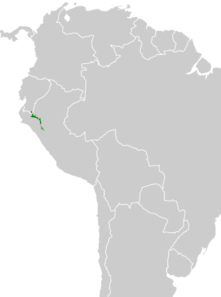 File:Patagioenas oenops map.svg