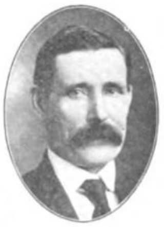 <span class="mw-page-title-main">Peter Nelson (b. 1861)</span> American politician