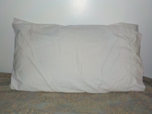A typical pillow. Picture of your average pillow, with the stains retouched.png