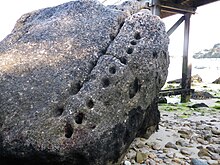 Schälchen - Cupules auf dem Menhir des Dames