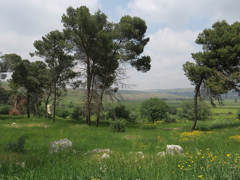 File:PikiWiki Israel 51946 galilee view.jpg