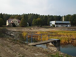 Wald in Pilka Mlyn