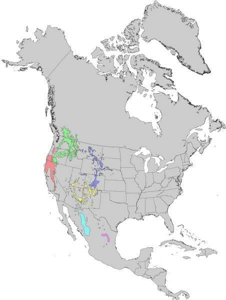 File:Pinus ponderosa & arizonica subspecies range map 0.png