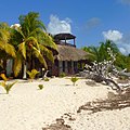 Playa Palancab. Cozumel - panoramio.jpg