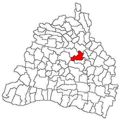 Lage in Dolj County