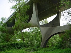 Ponte Musmeci 1.jpg