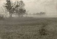 Landscape in Fog, 1905