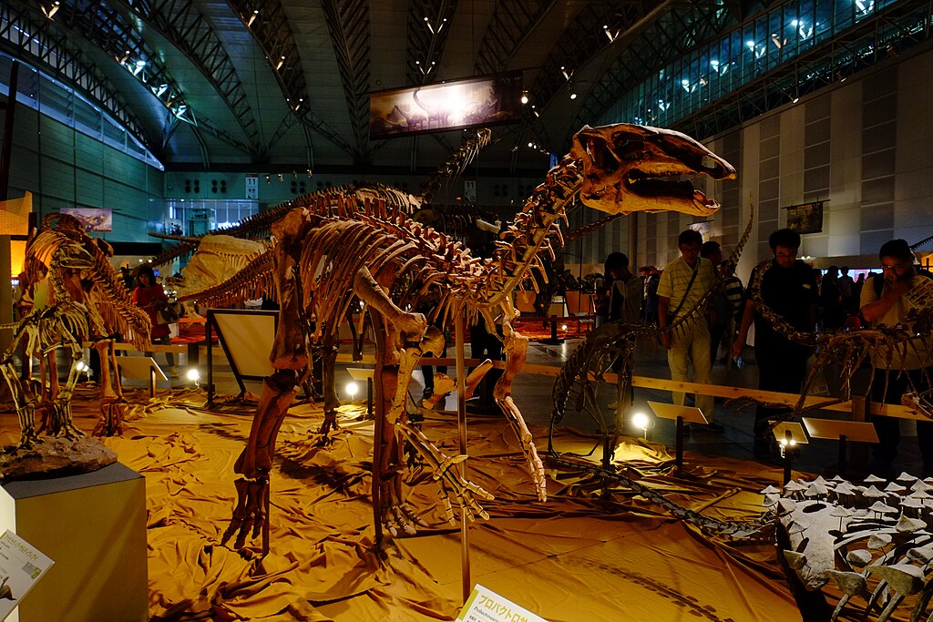 Probactrosaurus at Giga Dinosaur Exhibition 2017