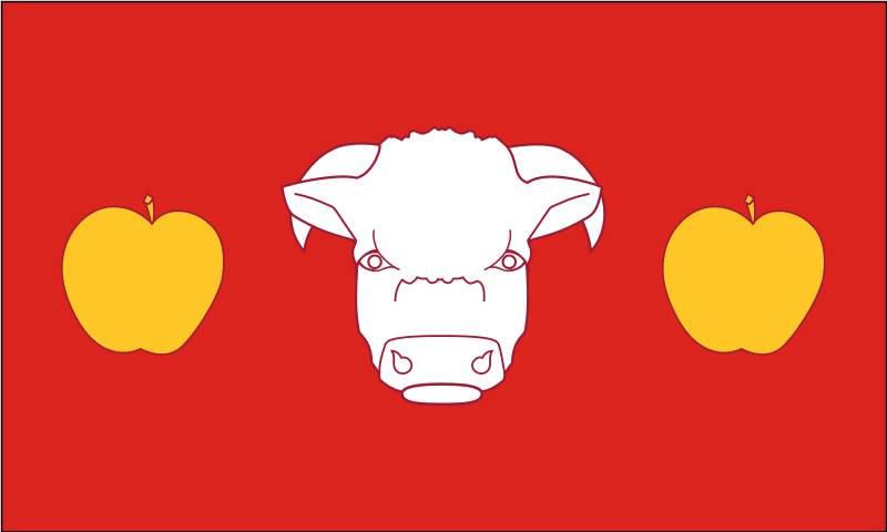 File:Proposed flags of Herefordshire (2019) Design A.svg