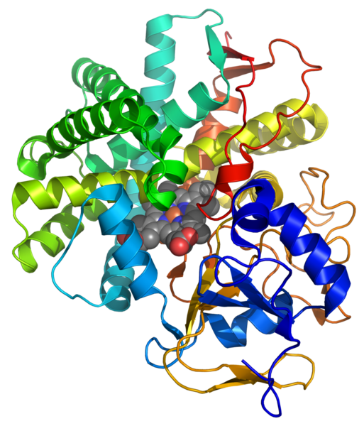 File:Prostacyclin synthase 2IAG Chiang et al.png
