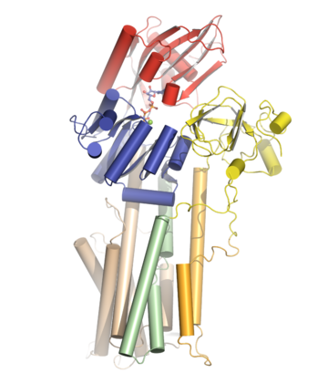 ATPase