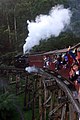 Puffing Billy on the Trestle Bridge