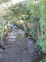 Agua Blanca kuksa