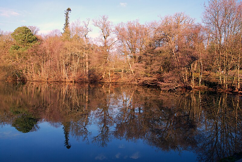 File:Reflections in Virginia Water Lake, Runnymede 1.jpg