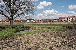 Houses in Ludwinów, near the crossing of Ludwinowska Street and Kujawska Street, in 2021.