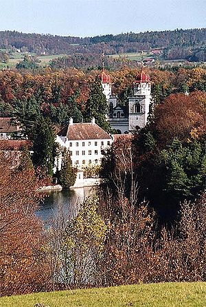 Rheinau Klosterkirche.jpg