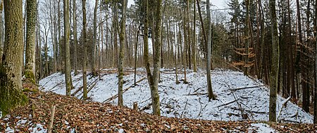 Rinkenburg 9220 pano