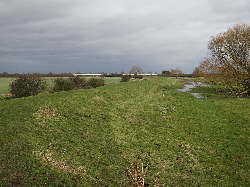 File:River Great Ouse bank - geograph.org.uk - 2673835.jpg