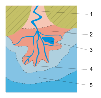 Schema generale di delta: 1) Alveo alluvionale terminale del fiume; 2) Apparato deltizio subareo; 3) Aree paludose e piane tidali; 4-5) prodelta prossimale e distale.
