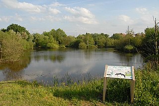 <span class="mw-page-title-main">Rixton Clay Pits</span> Nature reserve and former clay pit
