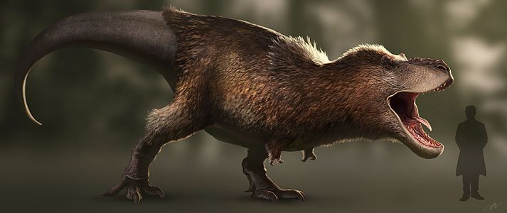 Ricostruzione artistica di Tyrannosaurus rex con piume: la scoperta di impronte di squame indica una minore presenza di piume di quanto precedentemente supposto, se non loro assenza, rendendo questa ricostruzione obsoleta. Anche la presenza di labbra potrebbe essere messa in dubbio dalla scoperta di strutture rugose sul cranio di Daspletosaurus, simili a quelle dei coccodrilli.