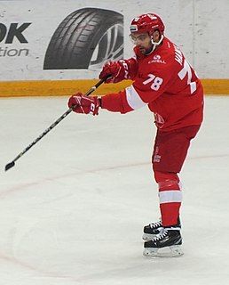 Robin Hanzl Czech ice hockey player