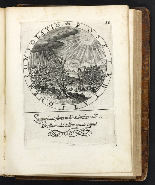File:Rollenhagen Les emblemes - Special Collections University of Amsterdam - OTM O 62 2474 (1).tif