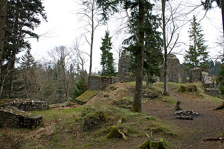 Ruine Alt Signau 1