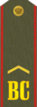 Ефрейтор қызметтік униформасы Құрлық күштері мен СРК (1994−2010)