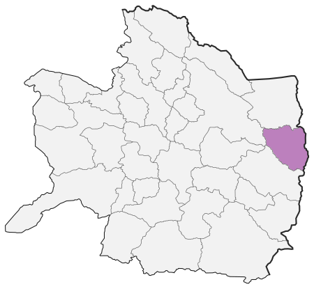 Fail:SalehAbad County Locator Map.svg