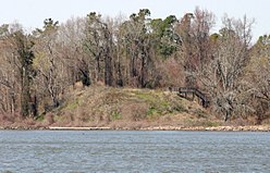 Native American mound next to Lake Marion (formerly Santee River). South Carolina is thought to be the easternmost expression of the Mississippian culture's moundbuilding. Santee mound 1549.JPG