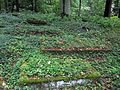 English: Cemetery in Sawica Polski: Cmentarz w osadzie/leśniczówce Sawica