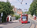 Trams in Halle