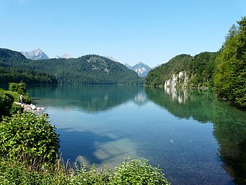 Alpsee mit Karstfläche des Kitzbergs, Blick von Osten