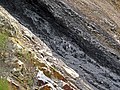 Semi-anthracite coal (Langhorne Coal, Lower Mississippian; Cloyds Mountain roadcut, Valley Coalfield, Virginia, USA) 10 (29850592134).jpg
