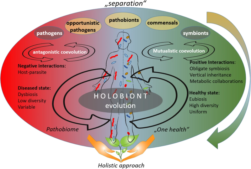 File:Shift of microbial-host coevolution from separation theories to a holistic approach.webp