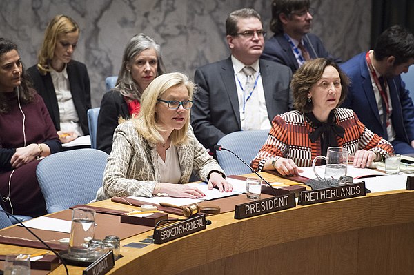 Kaag addressing the United Nations Security Council in 2018