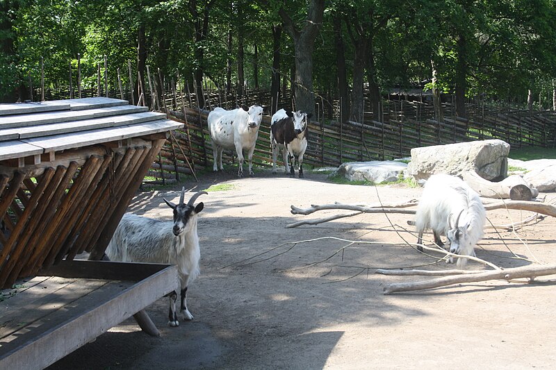 File:Skansen124.jpg