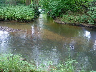 The mouth of the Sommerkahl at Langenborn in the Kahl