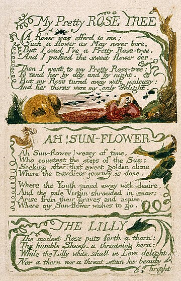 The Lilly (poem)