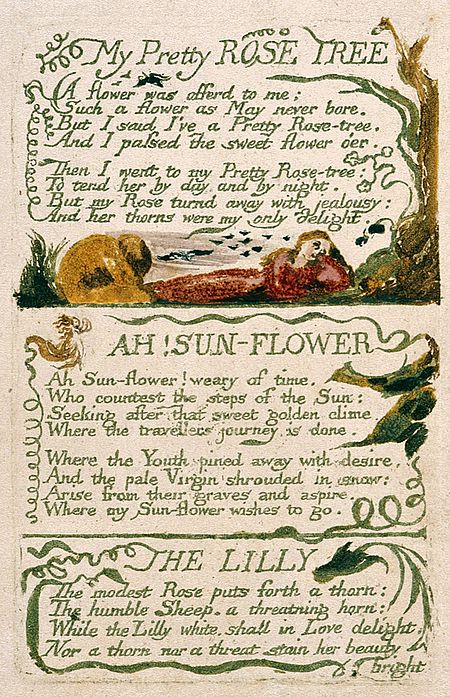 Copy F of the Lilly, below the "My Pretty Rose Tree" and "Ah! Sunflower" in Songs of Experience. This copy of the poem is currently held by the Yale Center for British Art Songs of Innocence and of Experience, copy F object 47 My Pretty ROSE TREE.jpg