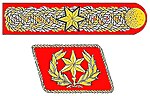 Ernst Rohm's special rank insignia as SA Chief of Staff, used between 1933 and 1934. It was abolished after the Night of the Long Knives. SpecialSAinsignia.jpg