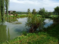 Kolam di Střítež