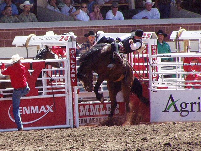 Bucking horse at the Calgary Stampede in 2002